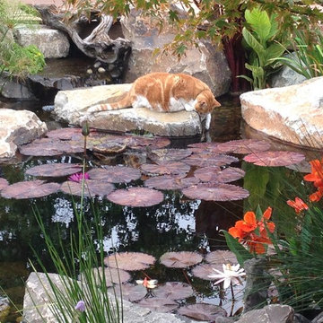 A small pond into a pondless rainwater harvesting system