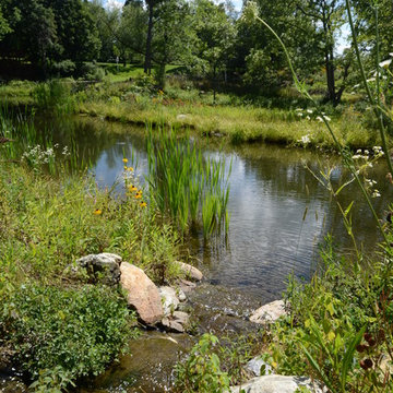 Millerton Retreat: Pond