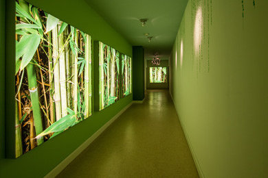 フランクフルトにあるアジアンスタイルのおしゃれな廊下の写真