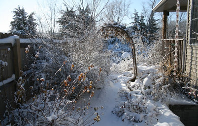 6 Ways to Beat the Winter Blahs