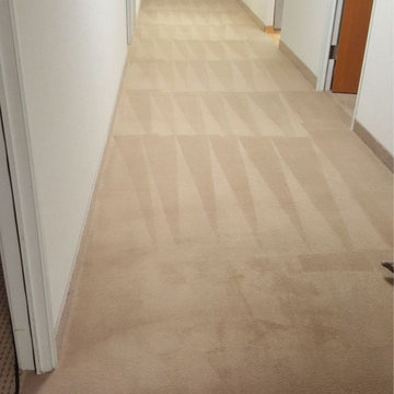 Santa Monica’s Trusted Carpet Cleaning – Safe & Effective