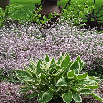 Green Space