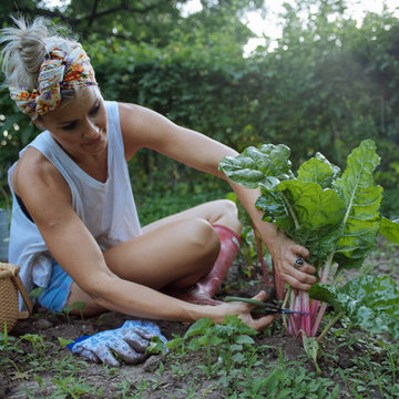 My Houzz: Backyard Farming for a Kansas City Family