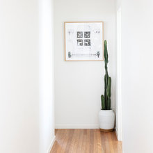 Indoor Plants