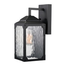 Coach Lights