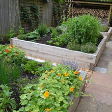 Raised Beds