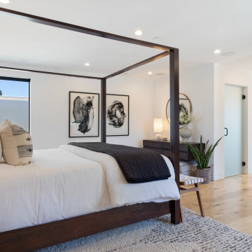 Venice Beach Contemporary