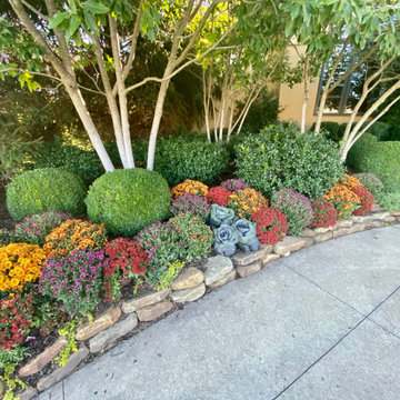 Seasonal Color-Autumn