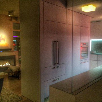 Control4 Penthouse Downtown Vancouver Project