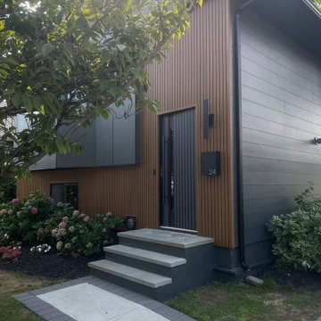 Modern steel exterior aluminum door | Ronex 0144 Grey | 36 x 80