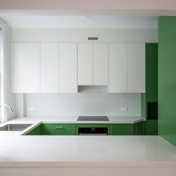 Kitchen with Wisper White and Blade Green Poly cupboards
