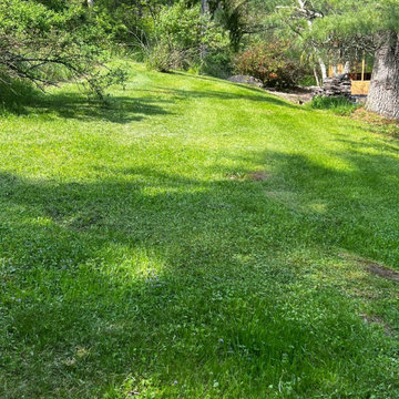 Professional Lawn Care & Mulch Installation