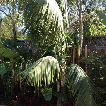 Asain Garden