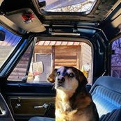 Foto von Misty Woods