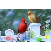 Norma Butler's photo