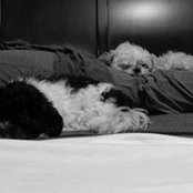 April Christophersonさんの写真
