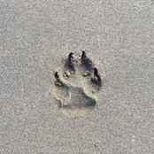 Kathi Brown's photo