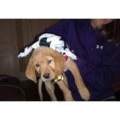 Jake Plunket's photo