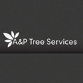 A&P tree services's profile photo
