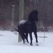 Carrie Koc's photo