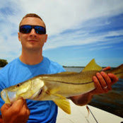 Mark Favara's photo