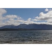 Sharon Ransom's photo