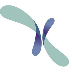 Kena Projects