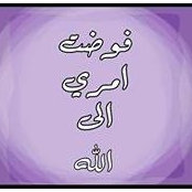Abdullah Sayed's photo