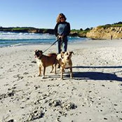 Timothy Cole's photo
