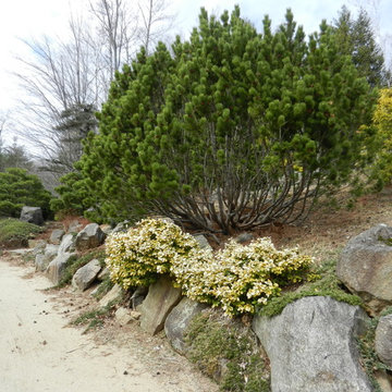 Shades of Green