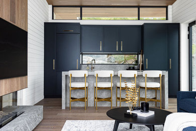 Inspiration for a mid-sized modern single-wall eat-in kitchen remodel in Toronto with flat-panel cabinets, black cabinets, gray backsplash, an island and gray countertops