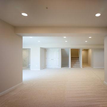 New Market Basement Finish
