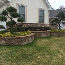 Helena front yard