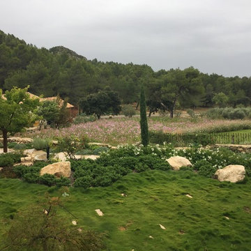 Un Mas dans Les Alpilles