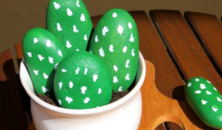 Fai da Te: Mini Cactus con le Pietre Colorate