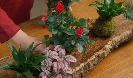 Houzz TV: Make a Living Centerpiece That Turns Into Party Gifts
