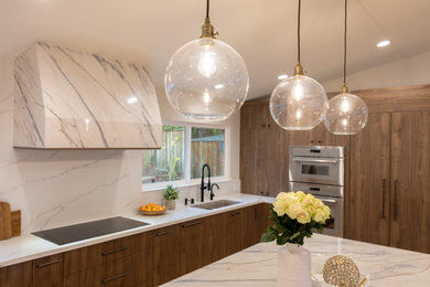 Example of a minimalist kitchen design in San Francisco