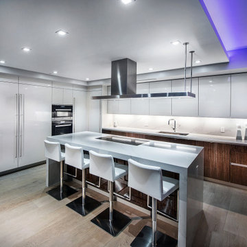 Contemporary Kitchen