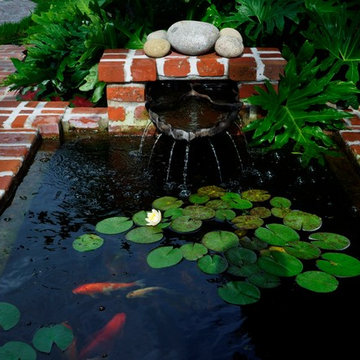 KOI POND