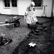 Nancy Rosenlinds foto