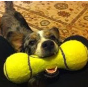 Donna Lane's photo