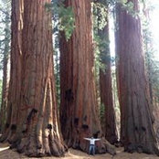 Jonathan Huang's photo