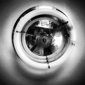 David Treiber's photo