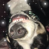 Foto von Lisa Daughtrey