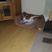 Triona Lawlor's photo