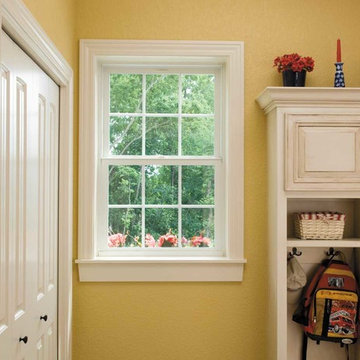 Windows Replacement