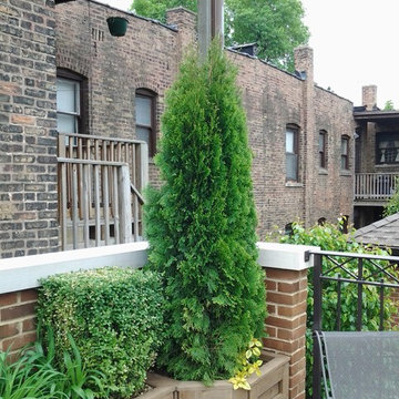 Evergreen Screen