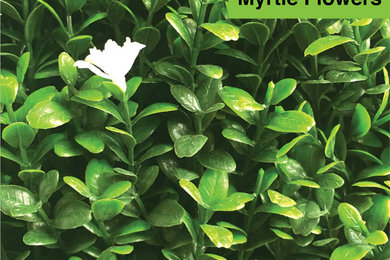 GreenLife Artificial Myrtle With Flowers Mat 20"x 20" Panels (12 Pack)
