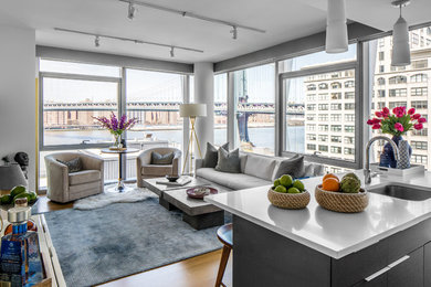 Living room - living room idea in New York