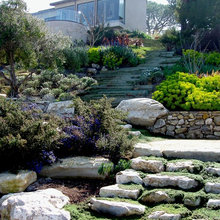 front landscape